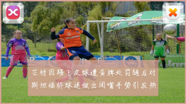 芒特因踢飞皮球遭黄牌处罚随后对斯坦福桥球迷做出闭嘴手势引发热议
